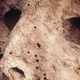 Image: Gino Fornaciari/University of Pisa